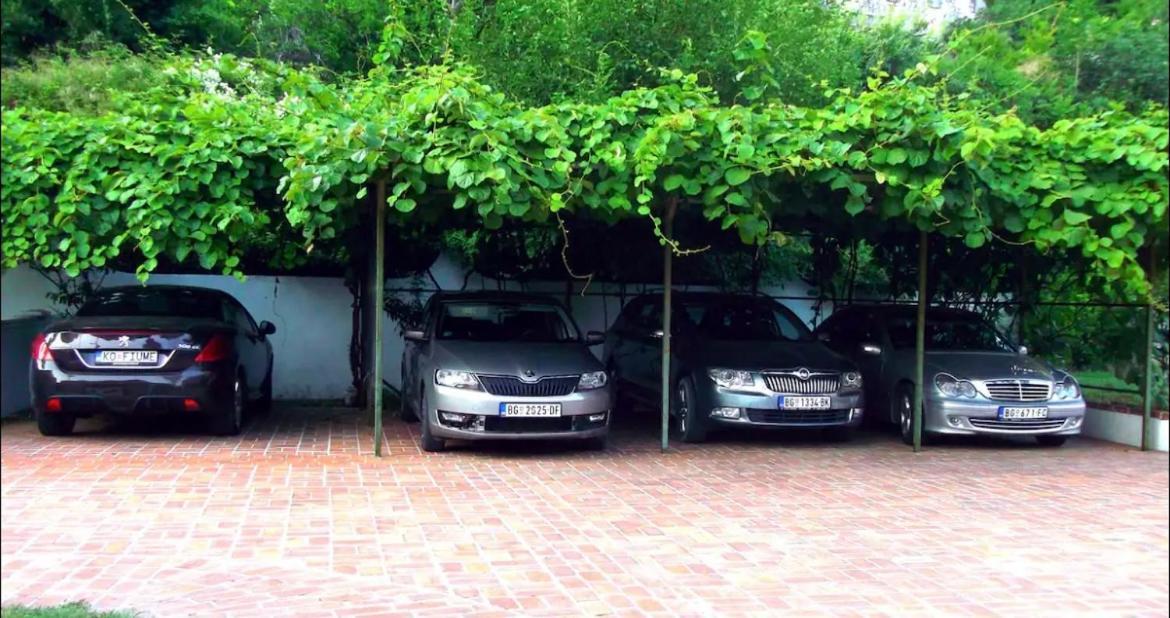 Carine Garden Apartment Risan Bagian luar foto