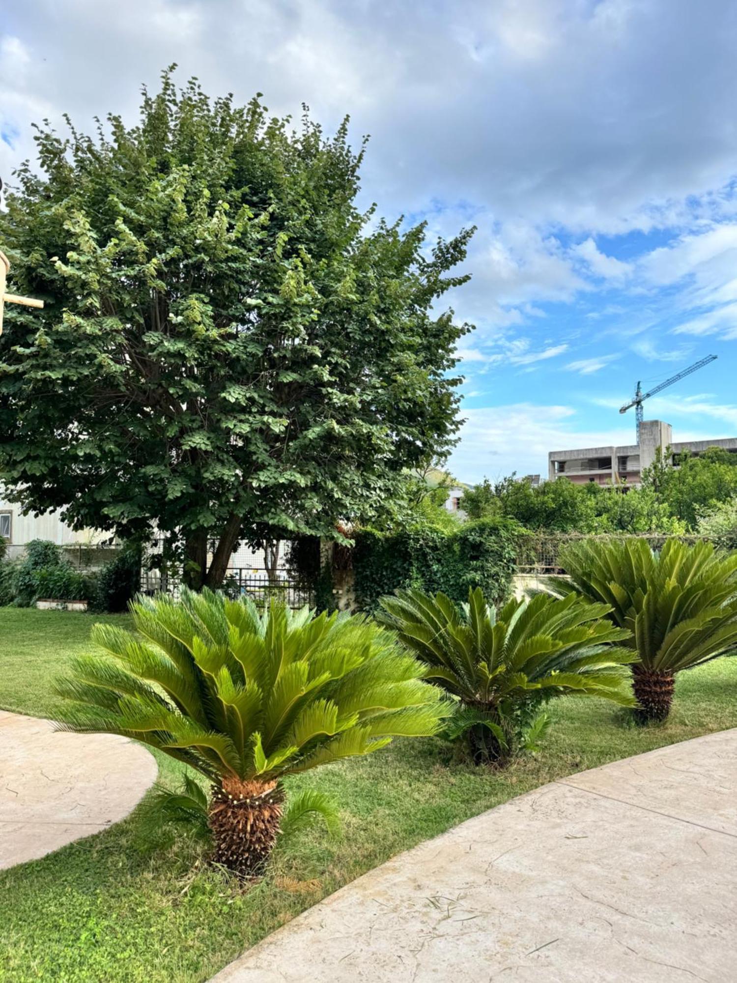 Carine Garden Apartment Risan Bagian luar foto