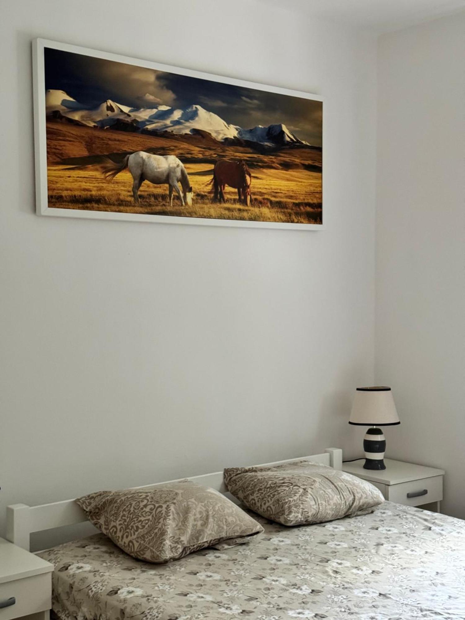 Carine Garden Apartment Risan Bagian luar foto